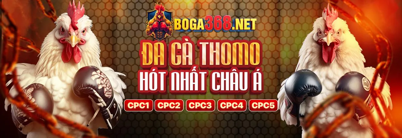 Sân đấu đá gà kịch tính với mã quà tặng 77 ball giftcode